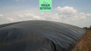 Biogás: sustentabilidade na produção de energia