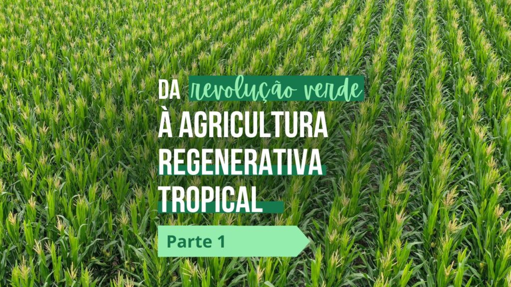 Uma breve história do agronegócio no Brasil – parte 1. Da revolução verde a agricultura regenerativa tropical