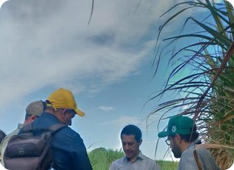 Equipe técnica em visita a campo