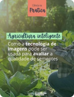 Post sobre tecnologia de imagens para avaliar sementes