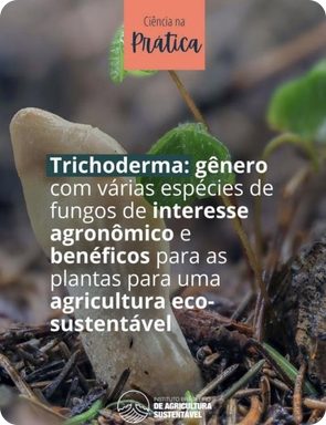 Post Ciência na Prática sobre Trichoderma